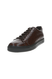 Ботинки мужские Aldo Brue AB490P-STSGAS коричневые 43.5 RU