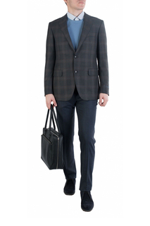 Пиджак мужской Pal Zileri 91624 коричневый 50 IT