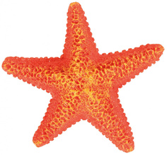 Грот для аквариума TRIXIE Assorted Sea Stars, Морская звезда, в ассортименте, 9см, 1шт