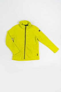 Флисовая толстовка для мальчика Icepeak, цв.зеленый, р-р 152