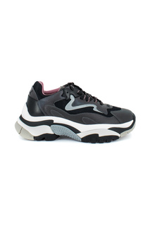 Кроссовки Ash