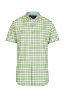 shirt Daniel Hechter