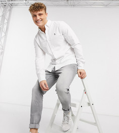 Белая оксфордская рубашка с логотипом Original Penguin эксклюзивно на ASOS-Белый