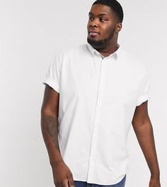 Белая оксфордская рубашка с короткими рукавами River Island Big & Tall-Белый