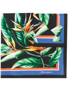 Dolce & Gabbana платок Birds of Paradise