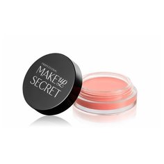 MAKE-UP-SECRET Румяна кремовые