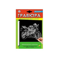 Гравюра Рыжий кот Мотоцикл в