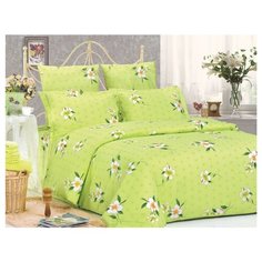 Постельное белье 1.5-спальное Сайлид