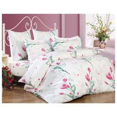 Постельное белье 1.5-спальное Сайлид