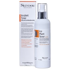 SKINDOM Тоник с ледяником для