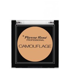 Pierre Rene Корректор Camouflage