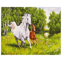 Белоснежка Картина по номерам "На воле" 40х50 см (139-AB)