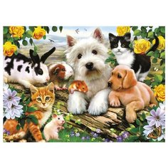 Рыжий кот Картина по номерам "Домашние любимцы" 40х50 см (Q1255)