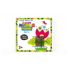 Magneticus Магнитная живая мозаика Цветы (MK-003)