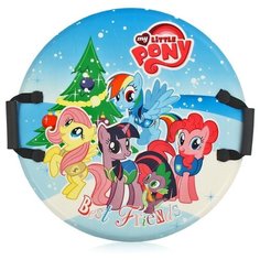 Ледянка Shenzhen Jingyitian Trade My Little Pony Х50174 голубой