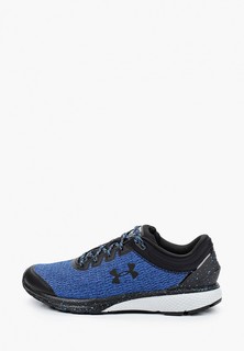 Кроссовки Under Armour