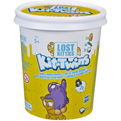 Игровой набор Hasbro Lost Kitties Котики-близнецы