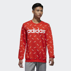 Graphic Sweatshirt adidas Sport Inspired