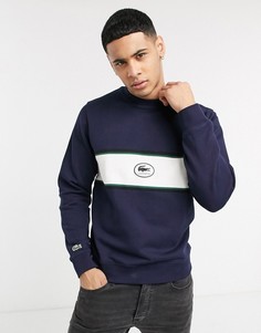 Темно-синий свитшот с вышитым логотипом Lacoste