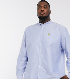 Голубая оксфордская рубашка Lyle & Scott-Синий
