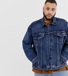 Джинсовая куртка Levis Big & Tall-Синий Levis®