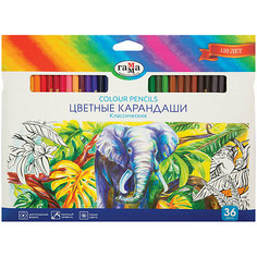 Цветные карандаши Гамма Классические", 36 цветов Gamma