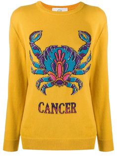 Alberta Ferretti Love Me Starlight Cancer jumper