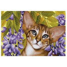 Рыжий кот Картина по номерам