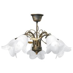 Люстра Vitaluce V3609 5 E14 300