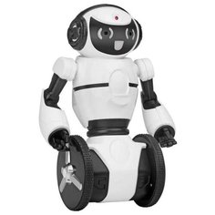 Робот WL Toys F4