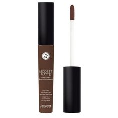 Absolute New York Жидкая помада