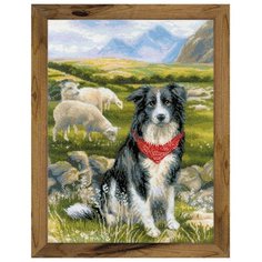 Риолис Набор для вышивания крестом Бордер-колли 30 х 40 (1767)