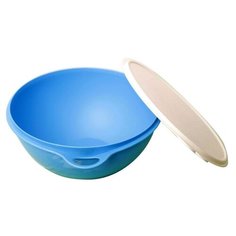 Миска Tupperware Б03 синий