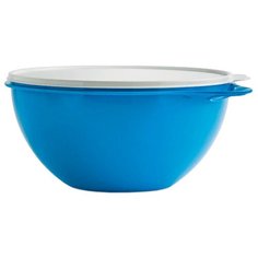 Миска Tupperware Б06 синий