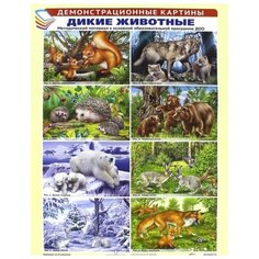 Демонстрационные картины "Дикие животные" Творческий Центр СФЕРА