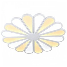 Люстра светодиодная Lucia Tucci Miracoli 203.20 LED, LED, 240 Вт