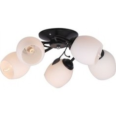 Люстра потолочная Imex MD.0403-5-S BK