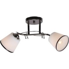 Люстра потолочная Imex MD.0313-2-S BCH 2*60Вт E27