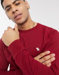 Красный лонгслив с круглым вырезом и логотипом Abercrombie & Fitch