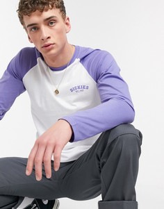 Пыльно-лавандовый бейсбольный лонгслив Dickies-Фиолетовый