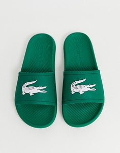 Зеленые шлепанцы Lacoste-Зеленый