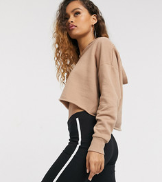 Шорты-леггинсы с контрастной окантовкой ASOS DESIGN Petite-Черный