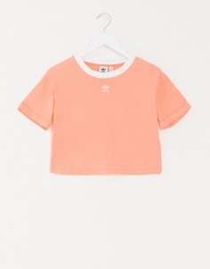 Розовая короткая футболка с логотипом adidas Originals-Оранжевый