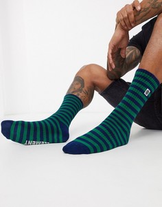 Зеленые носки в полоску Element-Зеленый