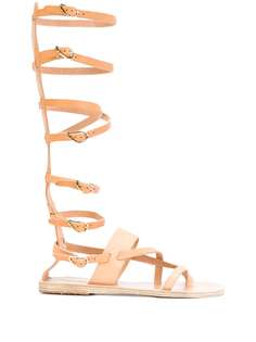 Ancient Greek Sandals высокие сандалии Alethea 