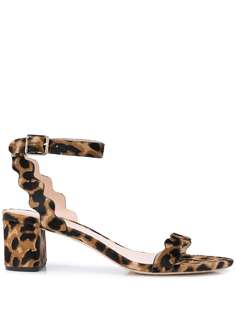 Loeffler Randall босоножки Emi с леопардовым принтом