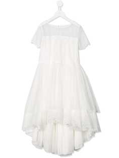 Aletta lace panel midi dress