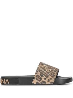 Dolce & Gabbana leopard-print logo slides