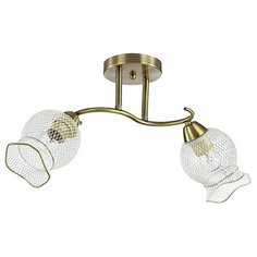 Люстра Lumion Rozetta 3109 2C