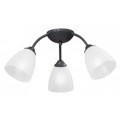 Потолочная люстра V3737-2/3PL Vitaluce